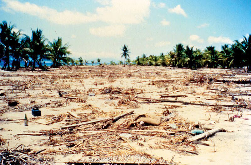 kliping bencana alam Tsunami NTT 1992 Indonesia
