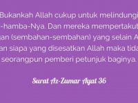 az zumar 36
