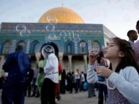 I love Palestine