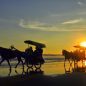 tempat wisata di jogja pantai parangtritis