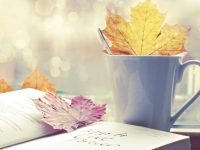 contoh-essay-bahasa-inggris