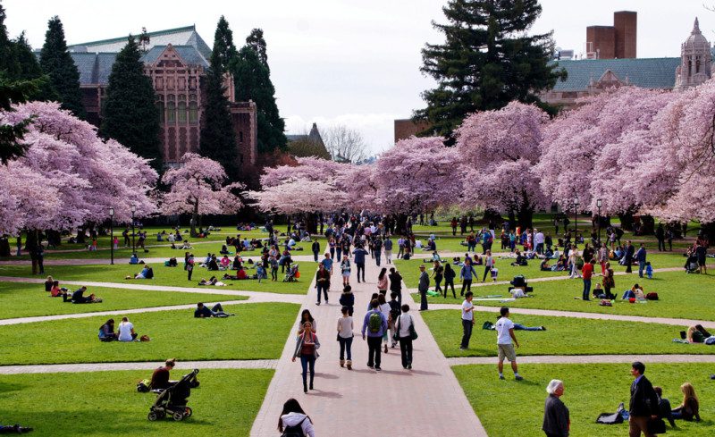 universitas di amerika serikat University of Washington