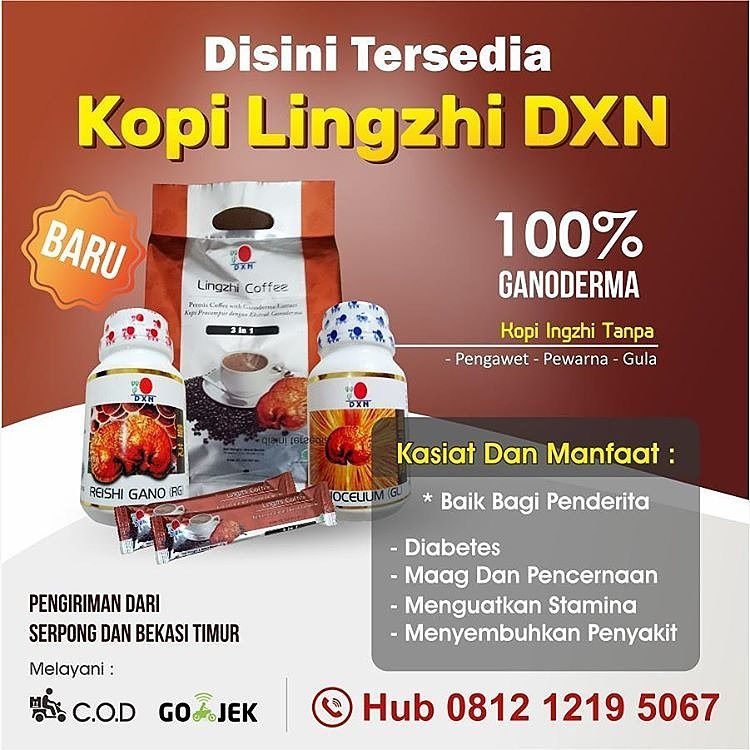 Jual Kopi Lingzhi