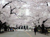 Universitas terbaik di Jepang Tokyo Institute of Technology (Tokodai)