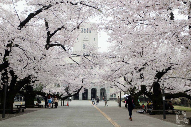 Universitas terbaik di Jepang Tokyo Institute of Technology (Tokodai)