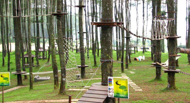 Bandung Treetop Adventure Park 