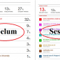 jasa turnitin