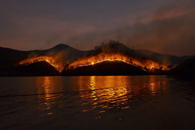 Tahun 2020 ini suhu iklim di seluruh dunia tercatat sebagai tahun kedua terpanas sepanjang sejarah. Hal ini sejalan dengan perkiraan Organisasi Meteorologi Dunia (WMO) yang sebelumnya memperkirakan lockdown Covid-19 tak berpengaruh apa-apa dalam perubahan iklim.