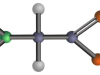 Pengertian Asam Amino
