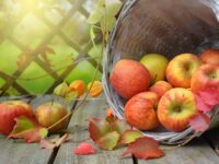 Aplikasi Beli Buah Online