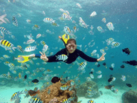 Pulau Rubiah