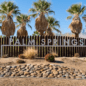Best Hotels in Palm Springs