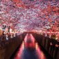 Tourist Attractions in Japan