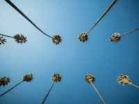 Tourist Attractions in Los Angeles