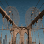 Tourist Attractions in New York City