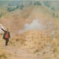 Kebakaran di Bromo Akibat Foto Prewedding? Ini Upaya Pencegahannya